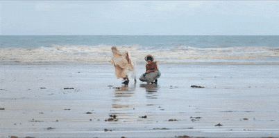 Sanditon GIF