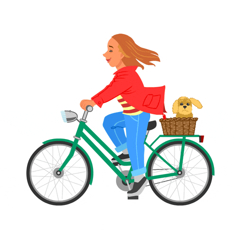 Bicycle GIF