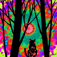 Cat Love GIF by PEEKASSO