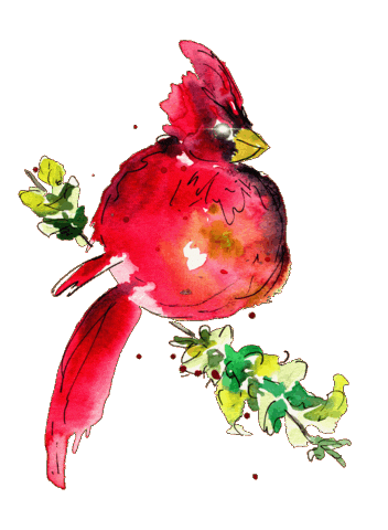 Red Bird Christmas Sticker by Beautigurlz