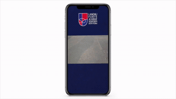 Company Ten Ltd GIF