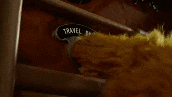Muppets GIF
