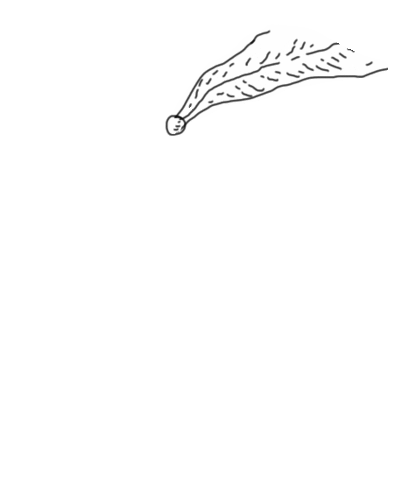Fungitivo Sticker