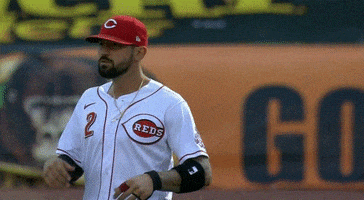 Baseball GIF