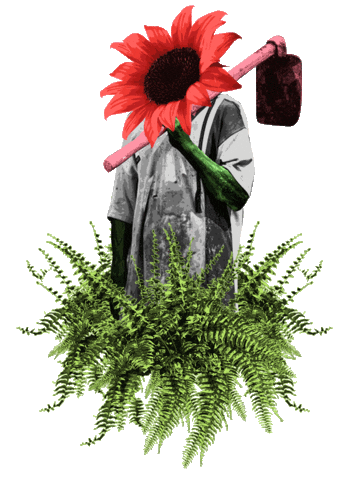 Collage Farmer Sticker by sonflower_