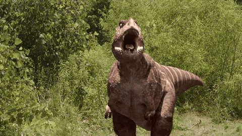 Rex Dinosaur GIFs - Get the best GIF on GIPHY