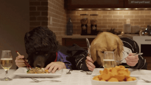 Eat Dinner GIFs - Get the best GIF on GIPHY