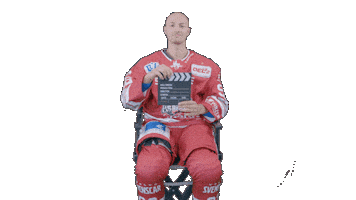 Hockey Family Sticker by Eisbären Regensburg