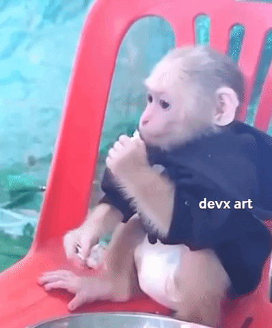 Monkey Eating GIF by DevX Art