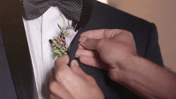 nowandforever GIF