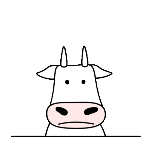 Confused Cow Sticker