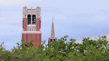 bell tower college GIF by University of Florida