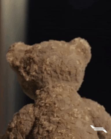 Teddy What GIF by Flytoget