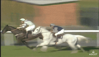 Jumping Horse Racing GIF by Ascot Racecourse