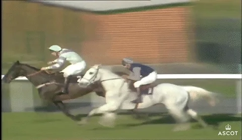 Jumping Horse Racing GIF by Ascot Racecourse