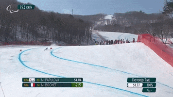 Paralympic Games Ski GIF by International Paralympic Committee