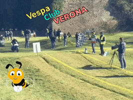 Bee Scooter GIF by Vespa Club Verona