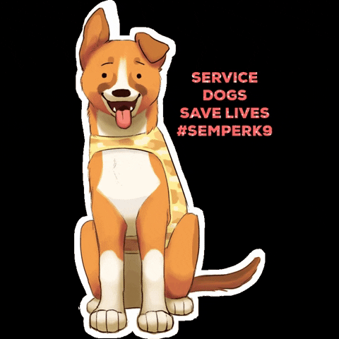 semperk9 dog service dog service dogs semper k9 GIF