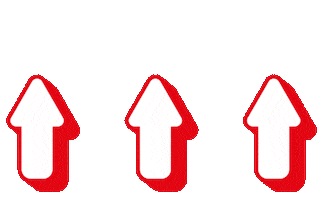 Arrows Paloma Sticker