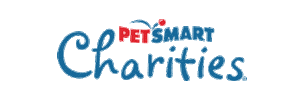 Cat Adopt Sticker by PetSmart Charities