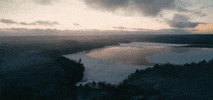 VIRUL GIF