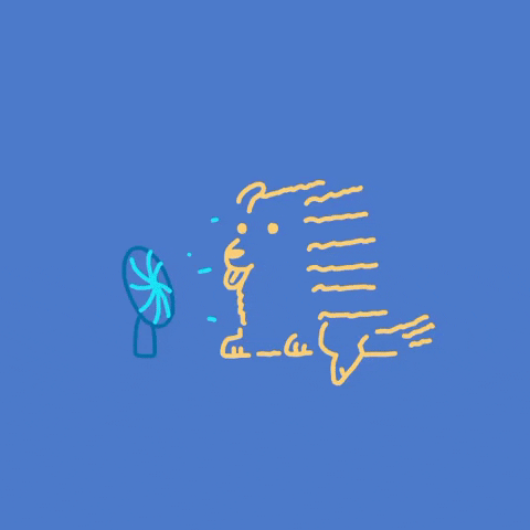 Dog GIF