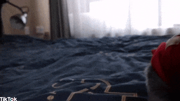 Whats Up Love GIF by TikTok