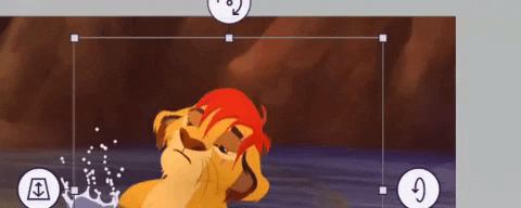 The Lion Guard GIF