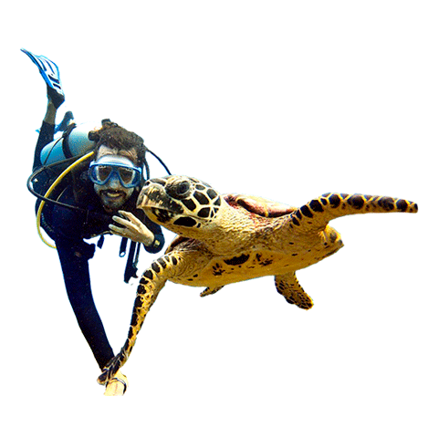 Byfield Travel Sticker