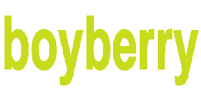 Boyberry Barcelona Sticker by boyberry