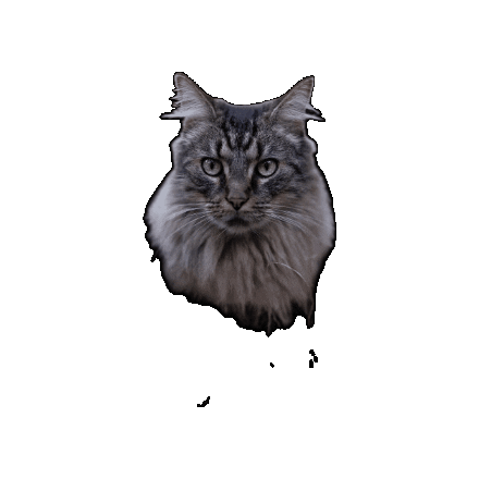 Animated Sticker