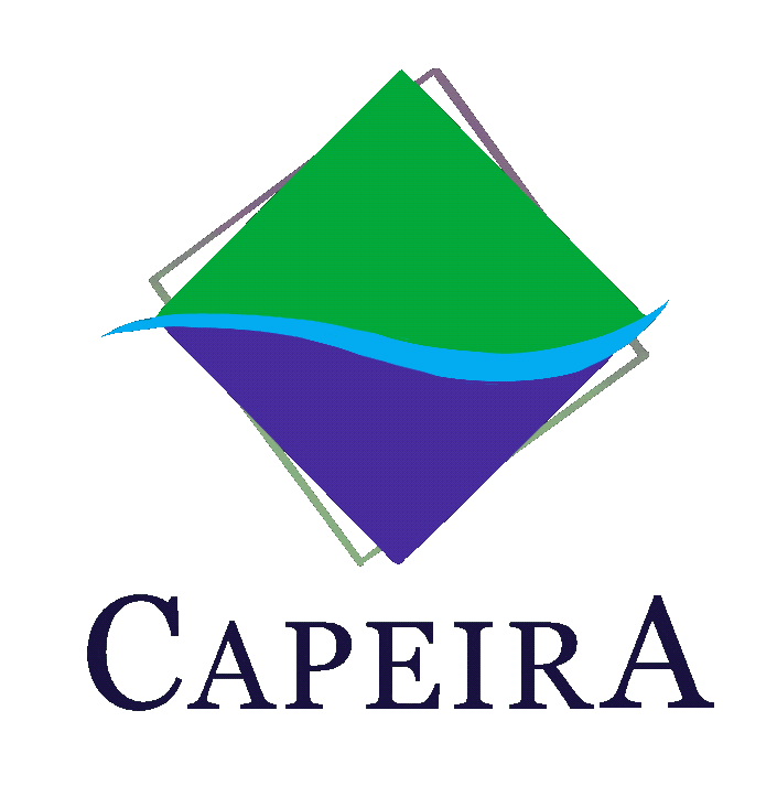 Capeira Sticker