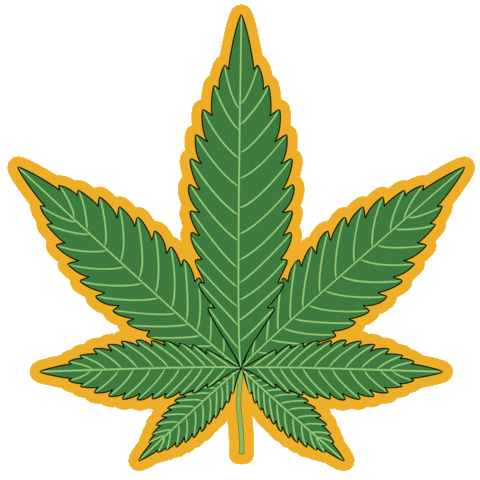 Phoenix Sticker by Share The Bird