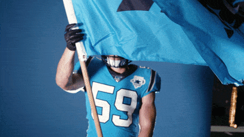 Nfl GIF by Carolina Panthers