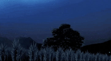 Shooting Star Animation GIF by All The Anime — Anime Limited