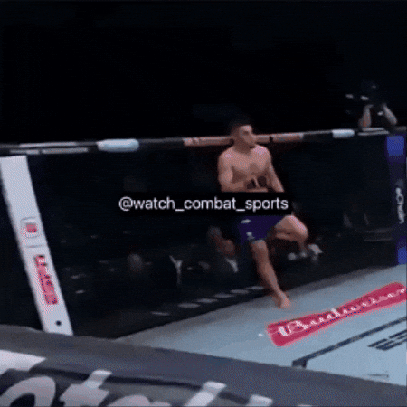 Ufc 看 GIF