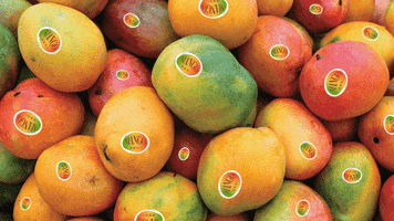 Mango Juice Sticker GIF by Kiri Mioki