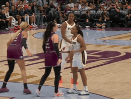 Angry Indiana Fever GIF