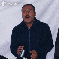 Say That Again Schitts Creek GIF by CBC