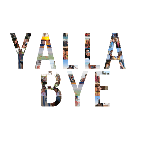 Israel Yalla Sticker by Hillel International