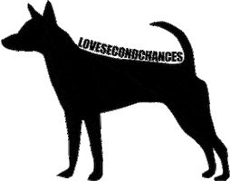 Dog Adopt Sticker by lovesecondchances