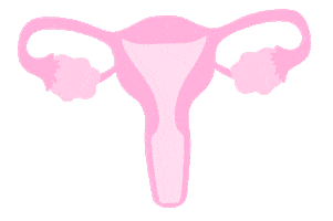Uterus Endometriose Sticker by mapatho