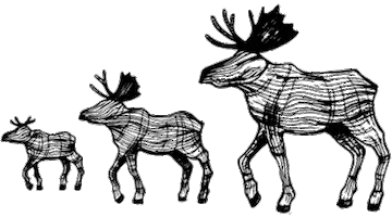 Travemuende Elks Sticker by Lübeck Travemünde