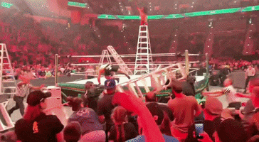 Wwe GIF