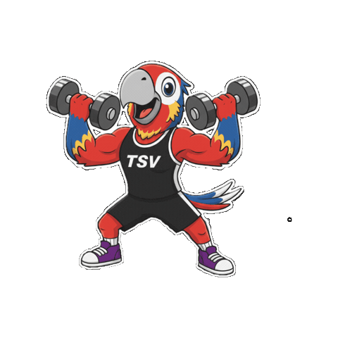 Fitness Qym Sticker by TSV Falkensee e.V.