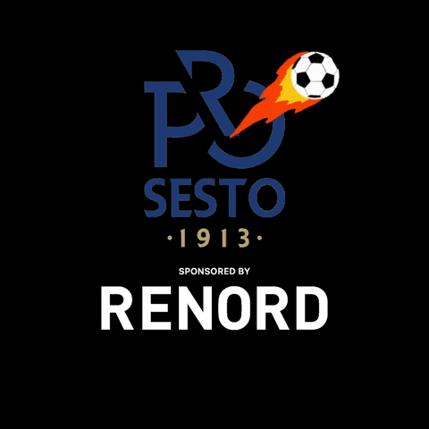 Soccer Ball GIF by RENORD