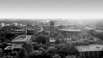 Black And White College GIF by University of Florida