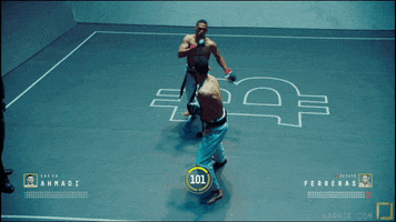 mma fighting GIF by Karate Combat