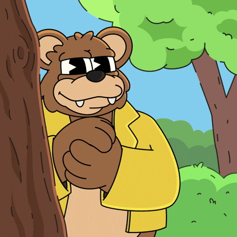 Bear Watching GIF by Franky The Frog