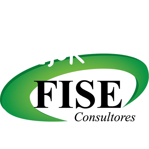 FISE Consultores Sticker